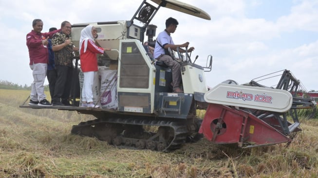 Manfaatkan Teknologi Pertanian Cerdas Iklim, Petani Desa Kembangan Purbalingga Tetap Panen di Musim Kemarau