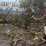 Angin Kencang Landa Kota Malang, 4 Orang Luka-luka dan 48 Bangunan Rusak