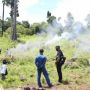Wow, Polri Temukan 25 Hektare Ladang Ganja di Aceh Besar, 13 Orang Jadi Tersangka