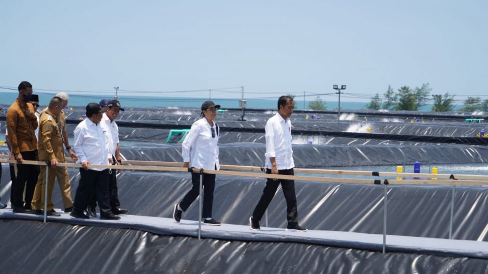 Tambak Udang Berbasis Kawasan Kebumen Diresmikan Presiden Jokowi