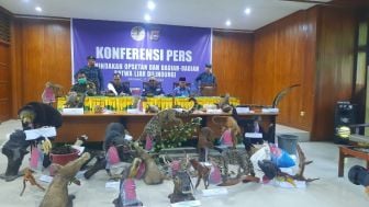 KLHK Temukan Puluhan Opsetan Satwa Dilindungi di Padang Panjang, Satu Pelaku Diamankan