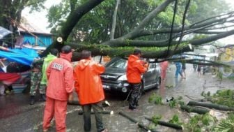 Dilanda Hujan dan Angin Kencang, Pohon Tumbang Timpa Mobildi Padang