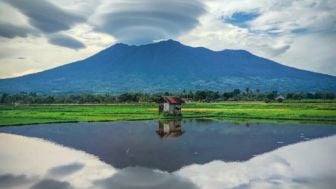 BKSDA Sumbar: Ada Puluhan Pendaki saat Gunung Marapi Erupsi