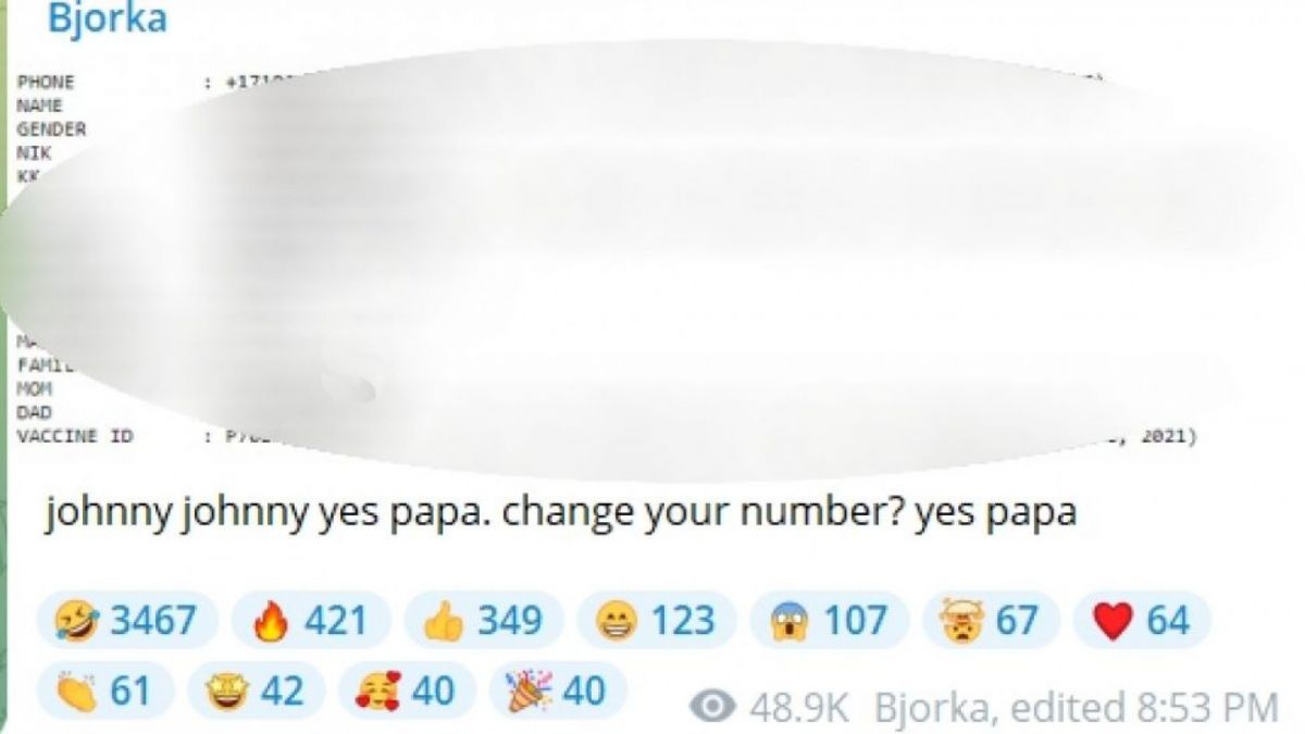 Bjorka pergoki menkominfo johnny g plate ganti nomor [Telegram]