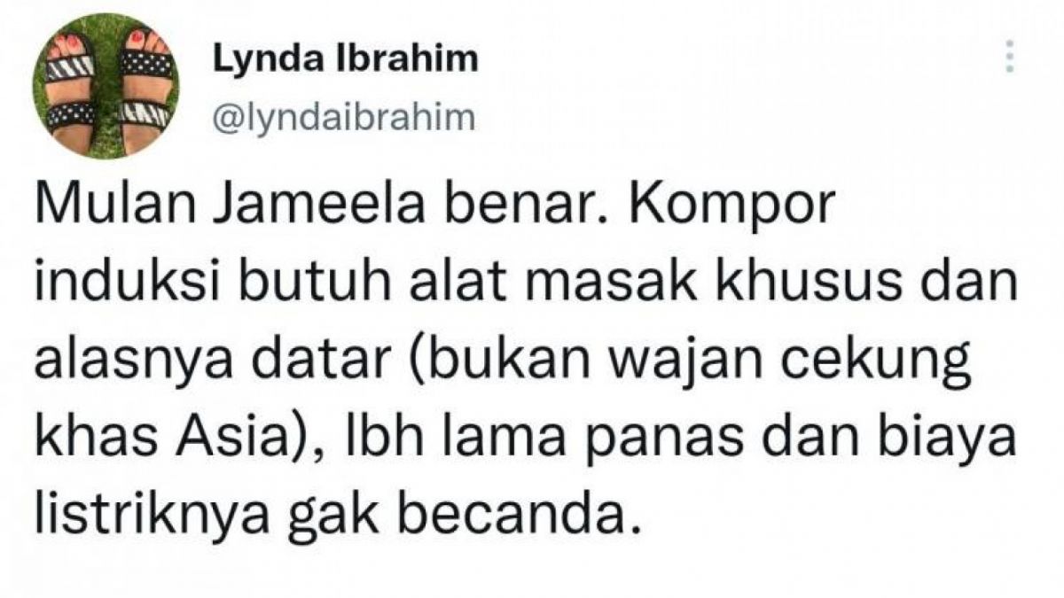 netizen tanggapi opini Mulan Jameela [Twitter/@lyndaibrahim]