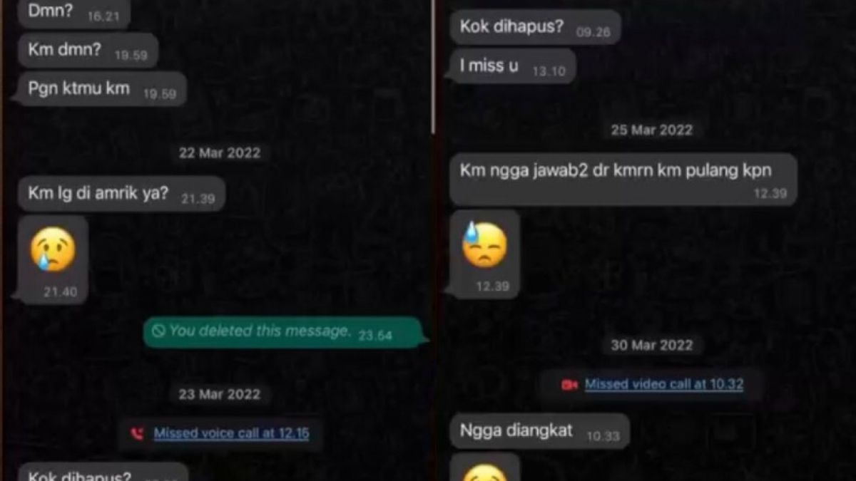 bukti chat denise chariesta [tangkapan layar]