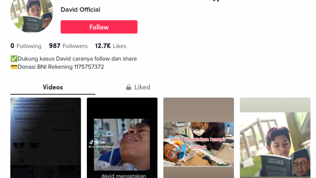 Akun palsu yang mengatasnamakan David Ozora [TikTok]