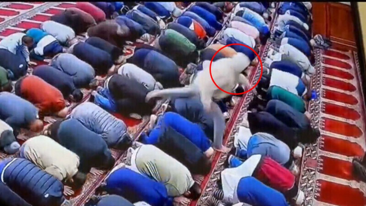 Serif Zorba melangkahi jemaah lain saat hendak menikam