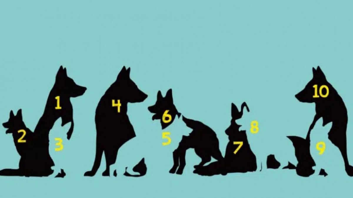 Ilustrasi tes kepribadian [Legrisou.fr]