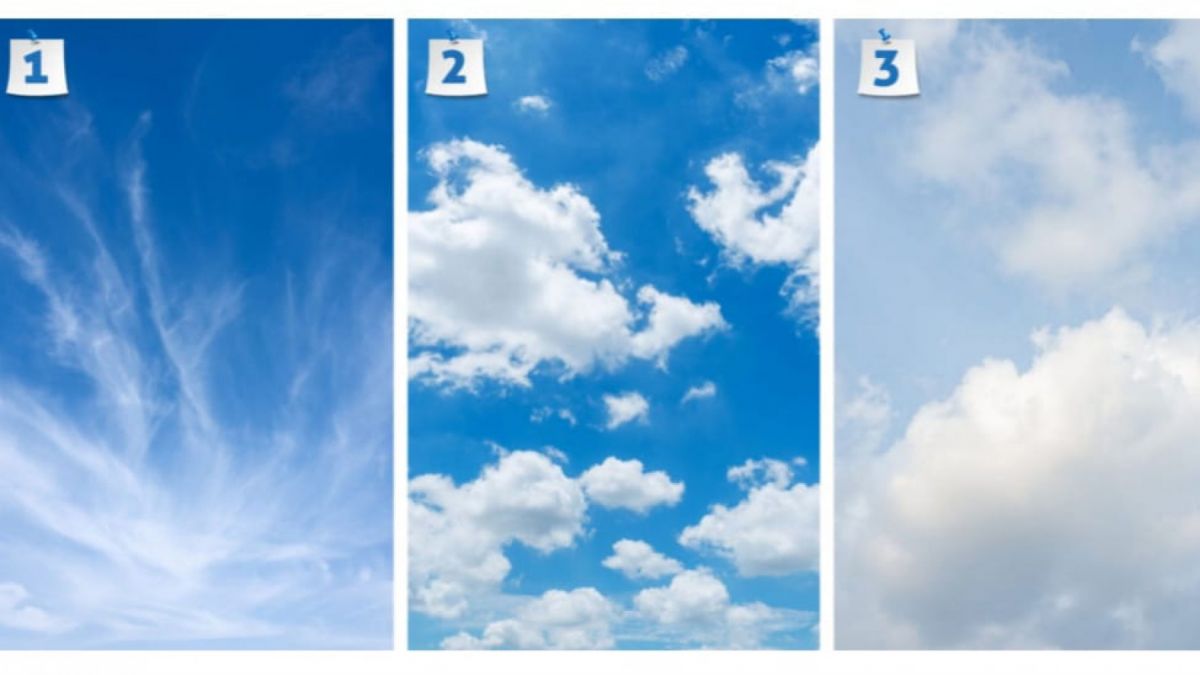 Ilustrasi tes kepribadian [Legrisou.fr]