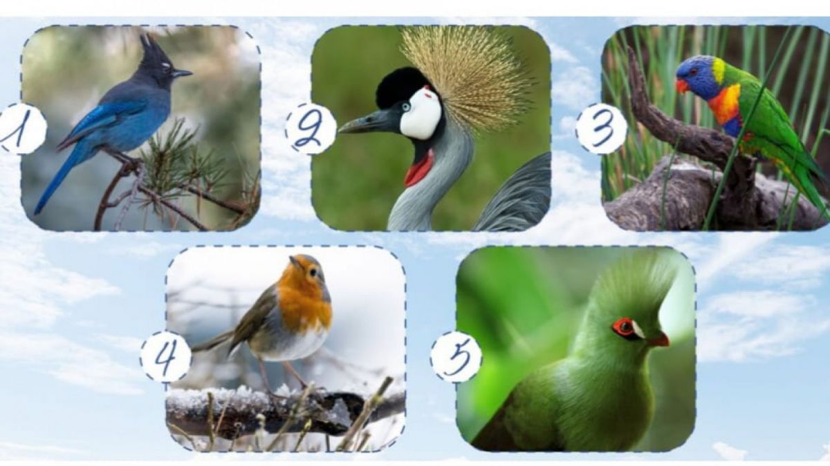 Ilustrasi tes kepribadian [Legrisou.fr]