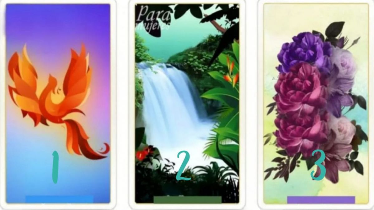 Ilustrasi tes kepribadian [Namastest.net]