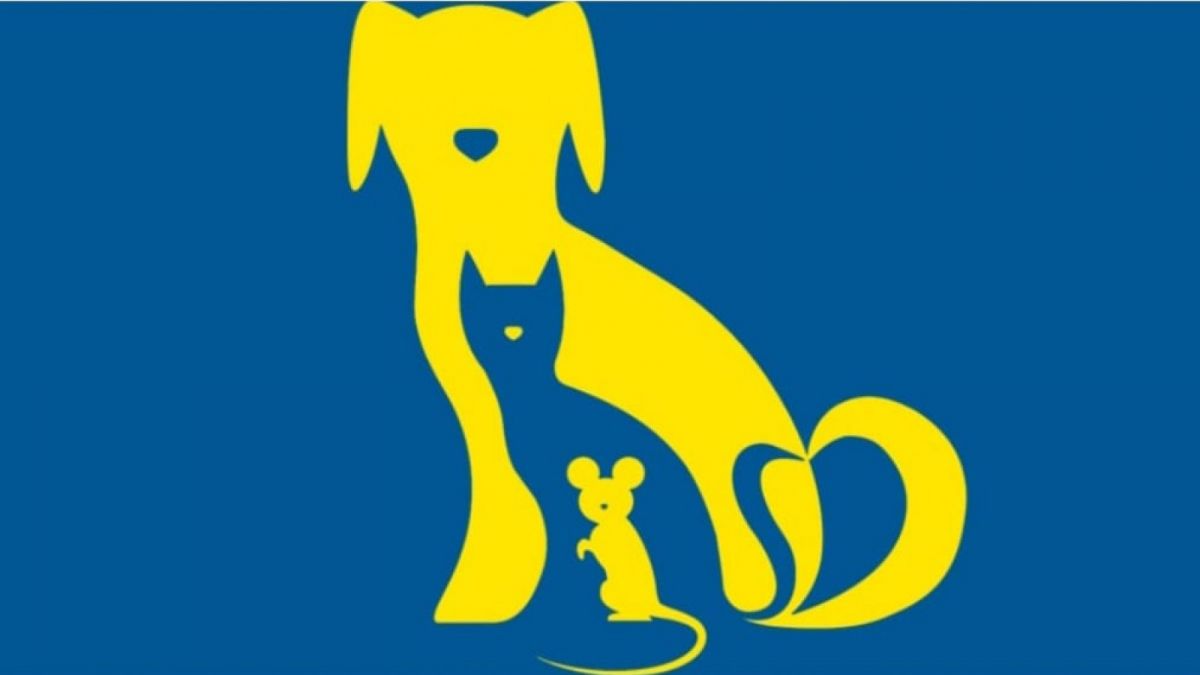 Ilustrasi tes kepribadian [Educadoreslive.com]