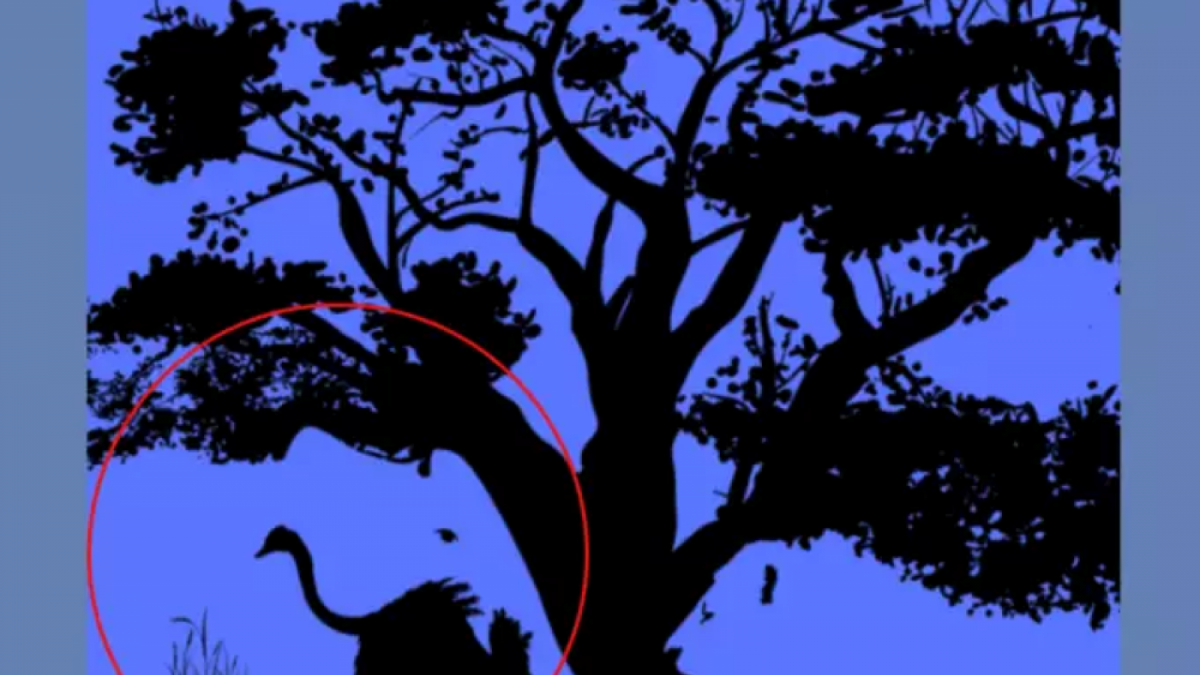 Ilusi optik gambar gajah