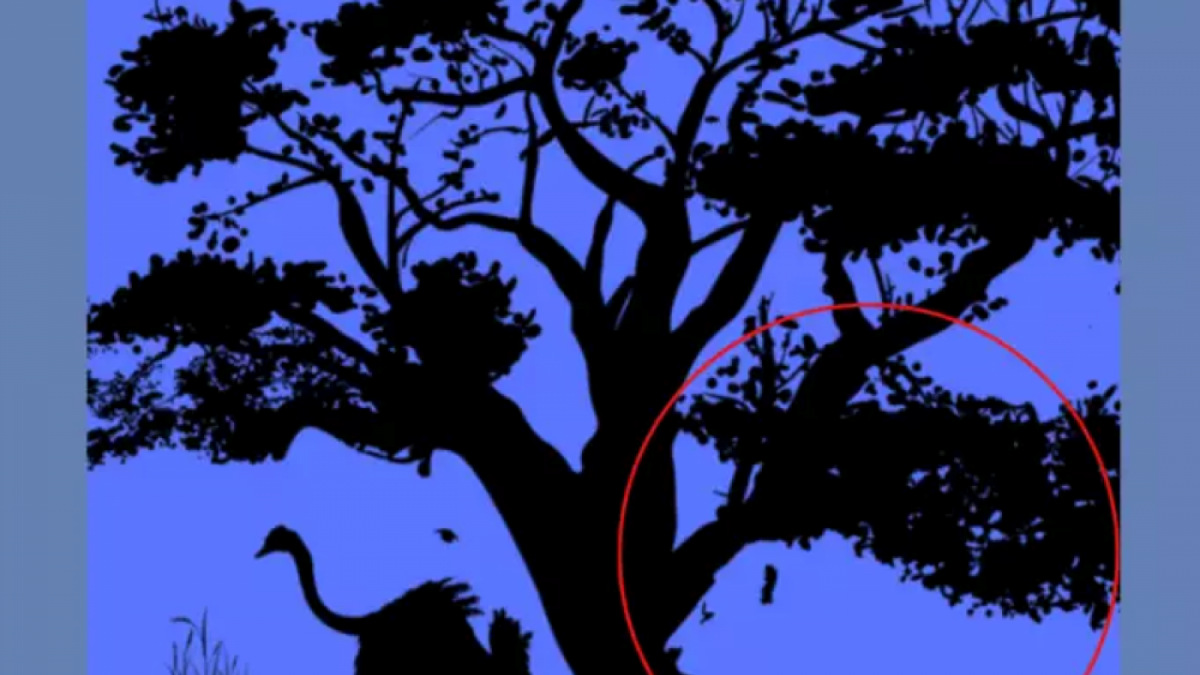 Ilusi optik gambar singa