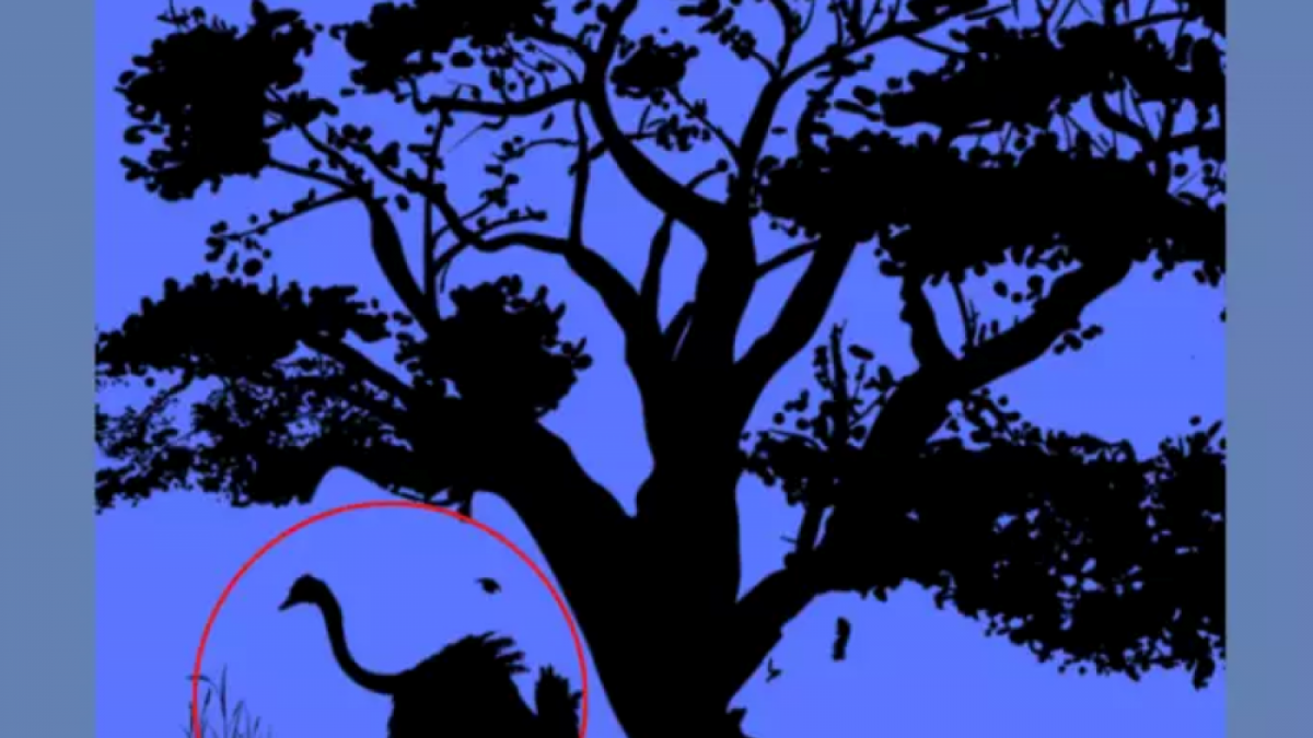 Ilusi optik gambar burung unta