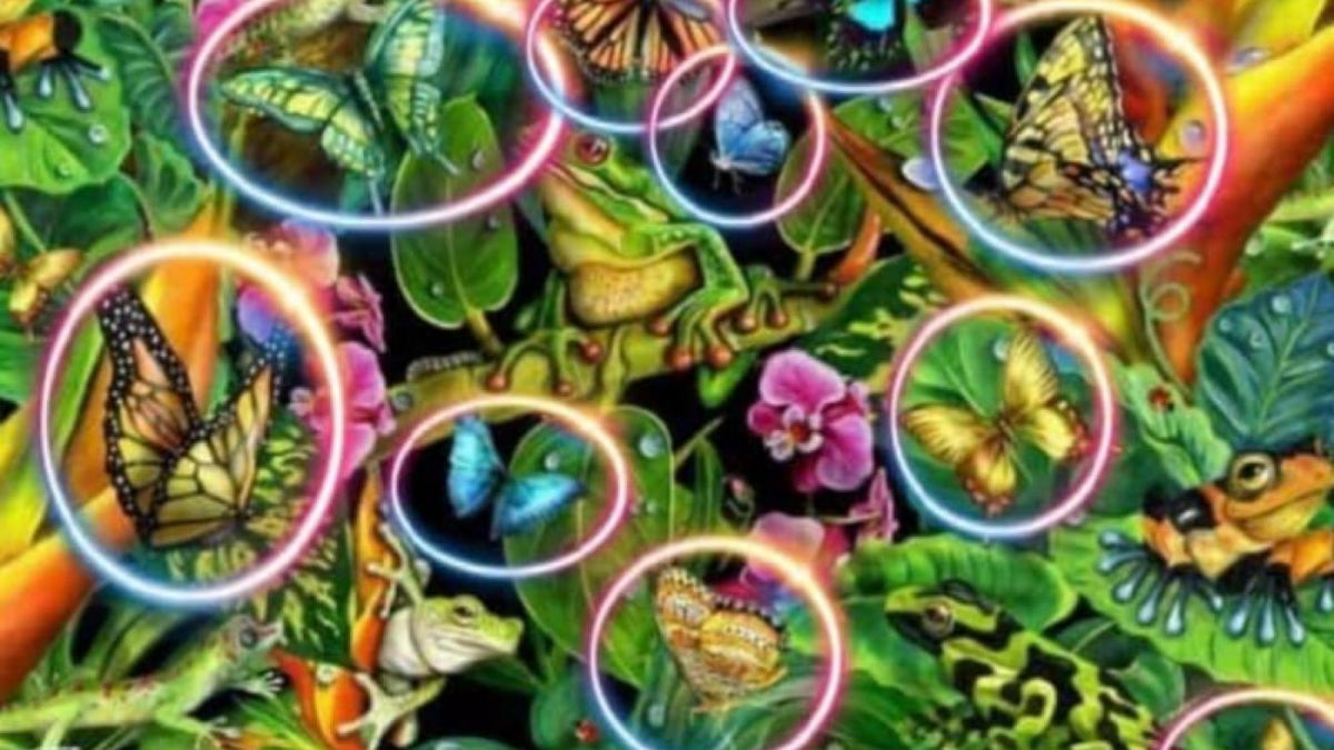 Ilustrasi tes kepribadian [Educadoreslive.com]