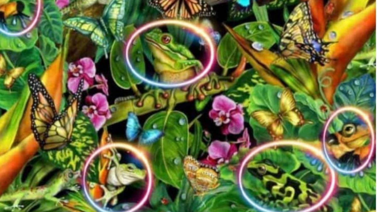 Ilustrasi tes kepribadian [Educadoreslive.com]