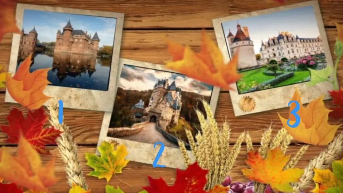 Ilustrasi tes kepribadian [Istimewa]