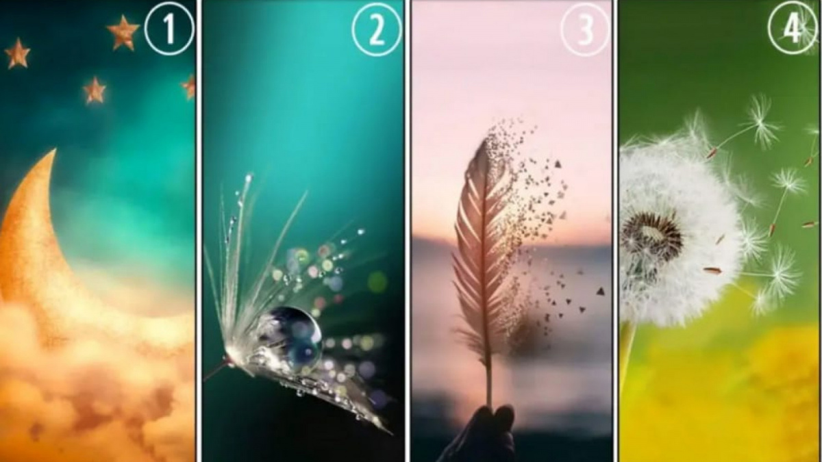 Ilustrasi tes kepribadian [Istimewa]