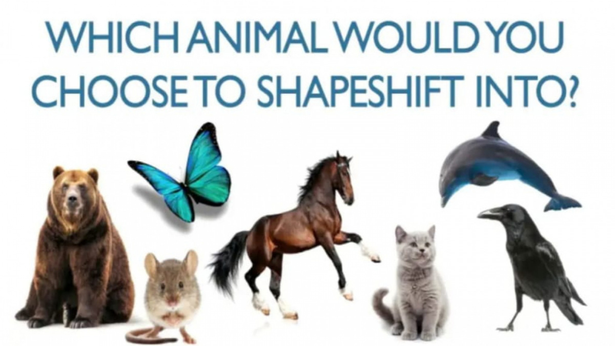 Ilustrasi tes kepribadian [Istimewa]