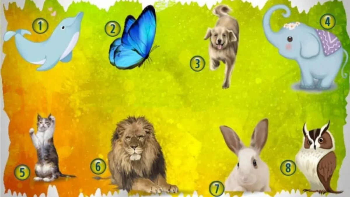 Ilustrasi tes kepribadian [Istimewa]