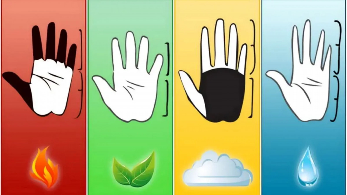 Ilustrasi bentuk telapak tangan [namastest.net]