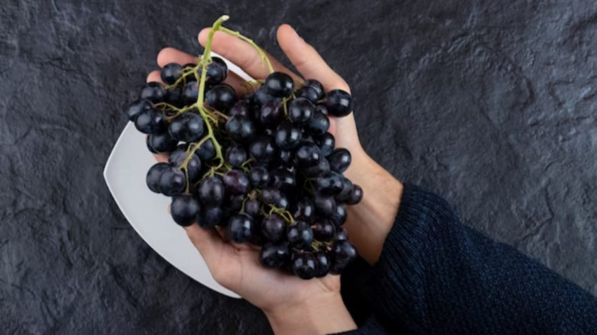 Gambar ilustrasi [Freepik]