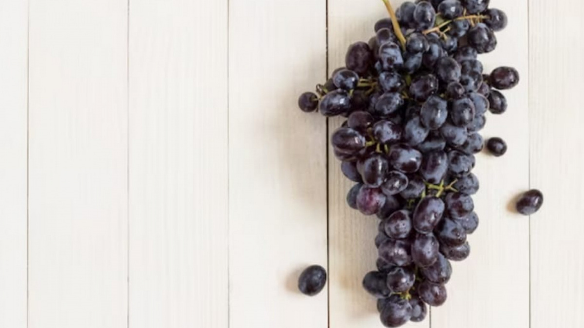 Gambar ilustrasi [Freepik]