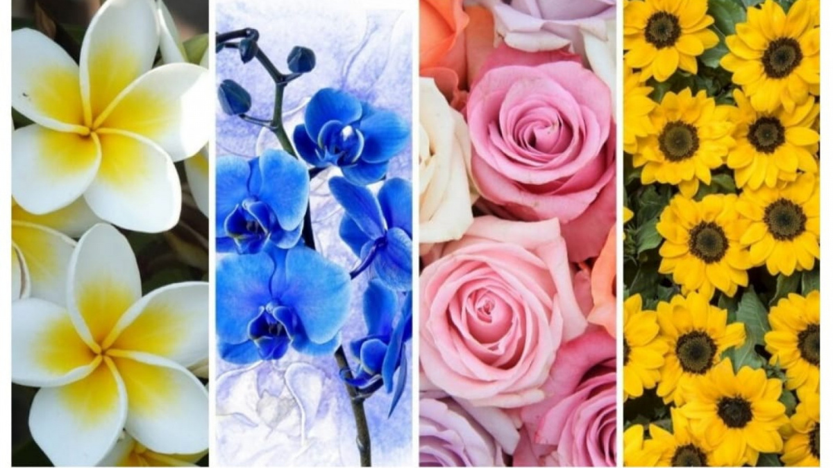 Ilustrasi tes kepribadian [Istimewa]