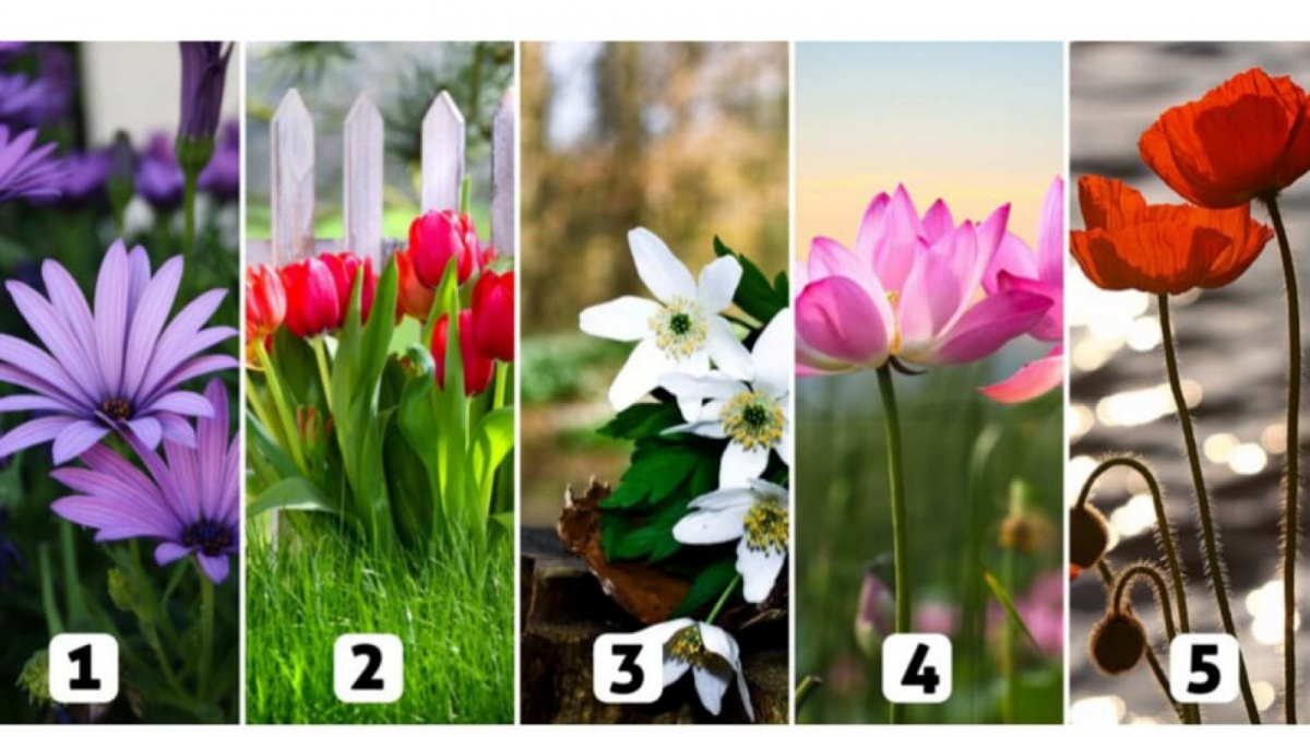 Ilustrasi tes kepribadian [Istimewa]