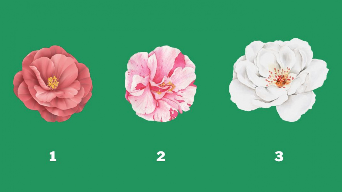 Tes kepribadian ini ungkap gaya kepemimpinan Anda [(Abmeyerwoo.com)]