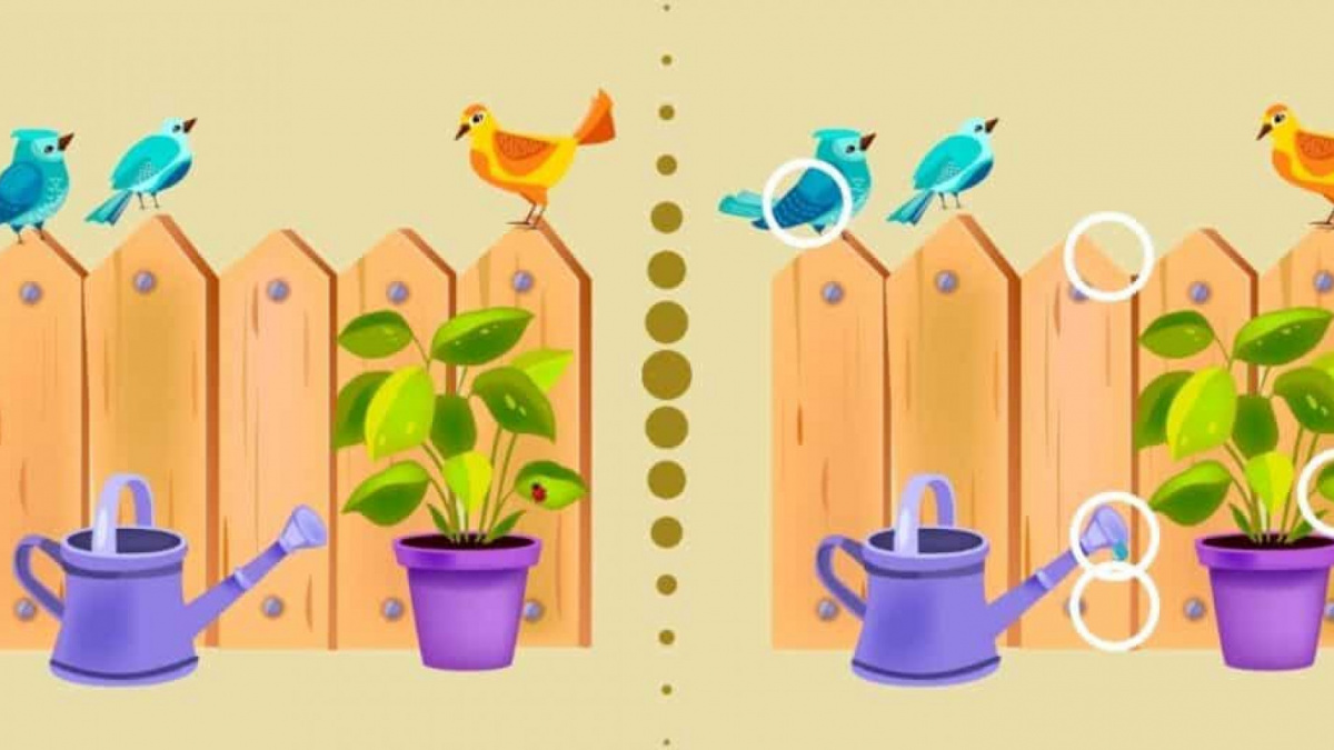 5 perbedaan antara dua gambar burung di pagar tanaman [Abmeyerwood.com]