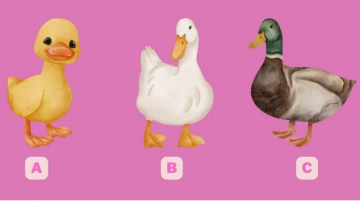 Ilustrasi tes kepribadian [Istimewa]