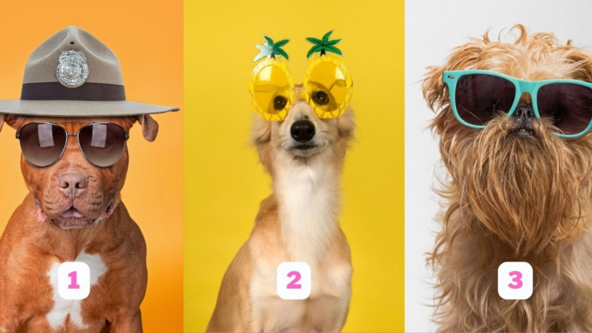 Ilustrasi tes kepribadian berdasarkan kacamata hitam yang dipilih [Abmeyerwood.com]