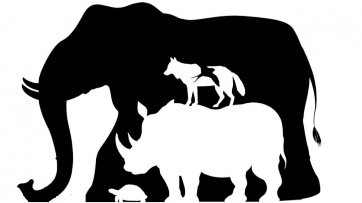 Ilustrasi tes kepribadian [Educadoreslive.com]