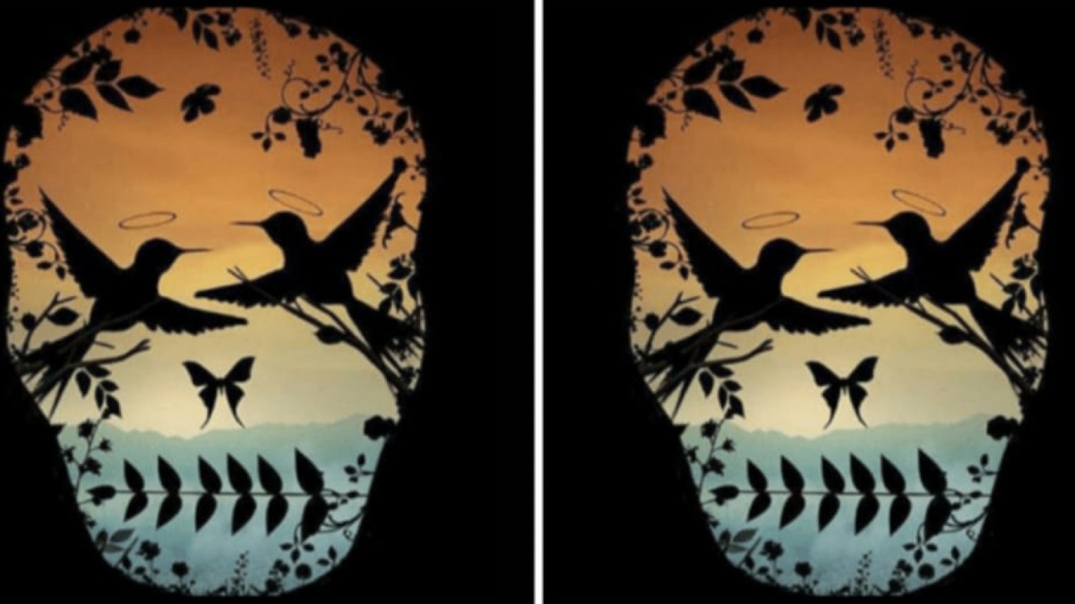 Ilustrasi tes kepribadian [Educadoreslive.com]