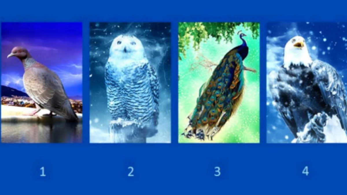 Ilustrasi tes kepribadian [Educadoreslive.com]