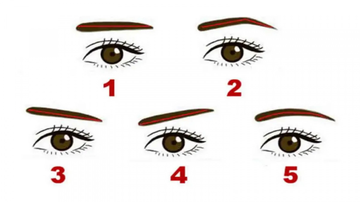 Ilustrasi bentuk alis [Namastest.net]