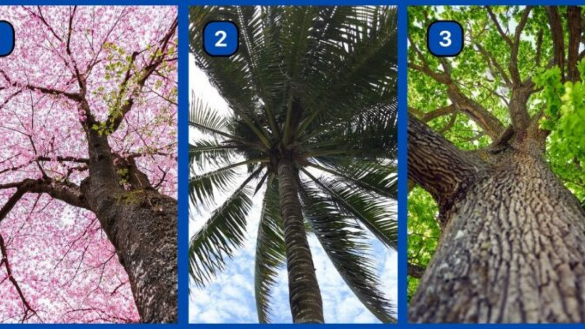 Ilustrasi tes kepribadian [Abmeyerwood.com]