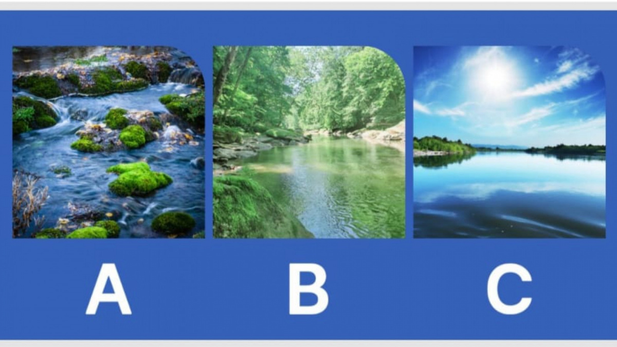 Ilustrasi tes kepribadian [tworiversrvparks.com]