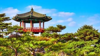 Top 5 Rekomendasi Wisata Instagramable di Jepang dan Korea Selatan
