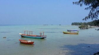 Bupati Kepulauan Seribu Bakal Tarik Retribusi Kapal dan Helikopter Buntut Ditemukannya Helipad Ilegal