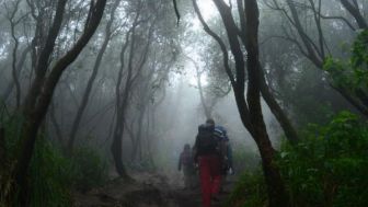 Rombongan Pendaki Pemula di Sulut yang Membawa Balita Ditemukan Setelah Tersesat Selama 2 Hari dan Alami Hipotermia