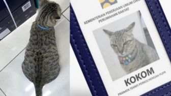 Kokom, Si Kucing Belang yang Jadi Pegawai Baru di Kementerian PUPR