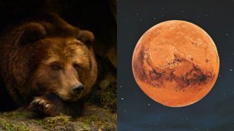 NASA Tangkap Foto Mirip Wajah Beruang di Mars