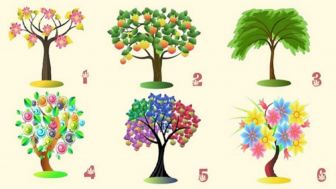 Tes Kepribadian: Pilih Simbol Pohon, Dapatkan Pesan Khusus untuk Memperbaiki Diri dan Meningkatkan Kekuatan Karakter Anda