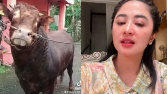 Ungkap Nasib Sapi Kurban Miliknya, Dewi Perssik Sindir Pedas Ketua RT: Lumayan Masuk TV