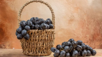 12 Manfaat Anggur Hitam untuk Kesehatan Jantung, Kulit dan Rambut