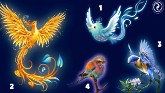 Tes Kepribadian: Kejutan Apa yang Menanti Anda di Masa Depan? Pilih Burung Favorit Anda untuk Mengetahuinya